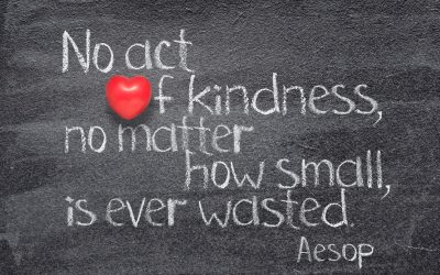 Kindness Without Witness: The Health Investment No One Applauds