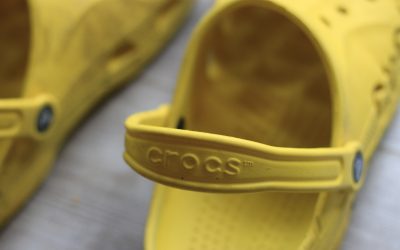 The Joyful Polymath You Did Not Know You Needed:  How Curiosity, Conversation, and an Unexpected Oracle Became a Health Investment