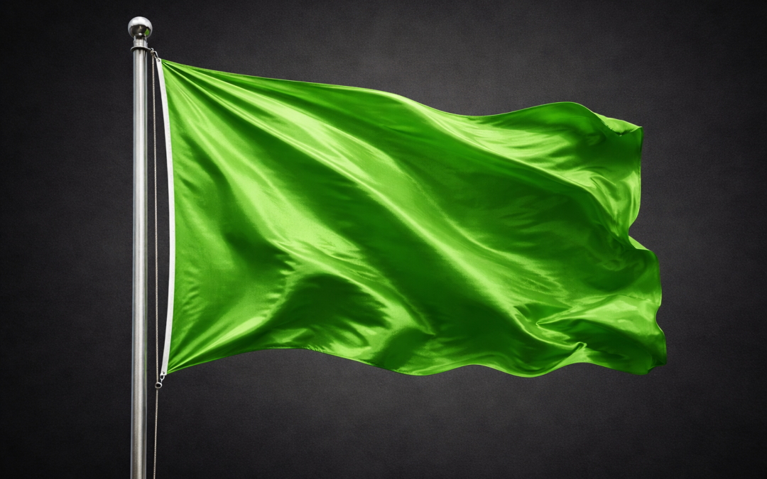 Green Flag Theory: How to Recognize Providers Who Put Your Well-Being First