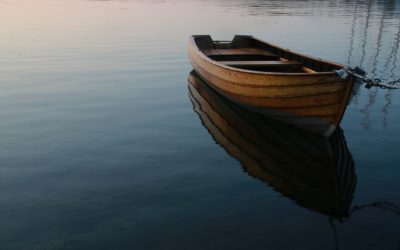 Propping Up the Pillars:  A Health401k® Reflection