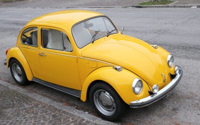Punch Buggy, I Spy, and Polaroids: Health Investments in Disguise